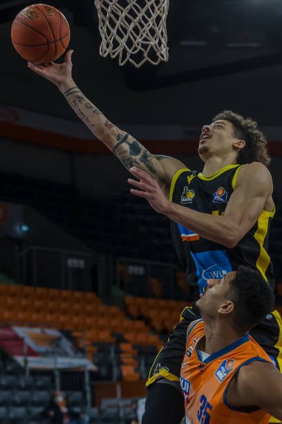 如果特狮与 如果特狮与